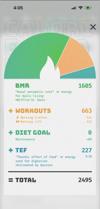 Buena Vida iPhone screen: Calorie budget